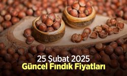 25 Şubat 2025 Güncel Fındık Fiyatları