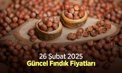 26 Şubat 2025 Güncel Fındık Fiyatları