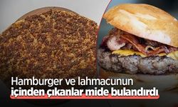 Hamburger ve lahmacunun içinden çıkanlar mide bulandırdı