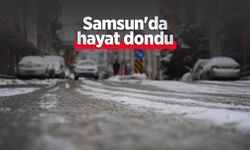 Samsun'da hayat dondu