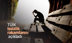 TÜİK işsizlik rakamlarını açıkladı