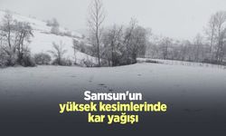 Samsun'un yüksek kesimlerinde kar yağışı