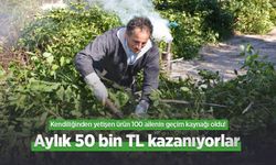 Kendiliğinden yetişen ürün 100 ailenin geçim kaynağı oldu! Aylık 50 bin TL kazanıyorlar