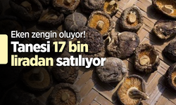 Eken zengin oluyor! Tanesi 17 bin liradan satılıyor