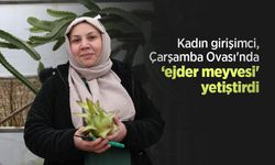 Kadın girişimci, Çarşamba Ovası'nda ‘ejder meyvesi' yetiştirdi