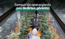 Samsun'da operasyonda pes dedirten görüntü!