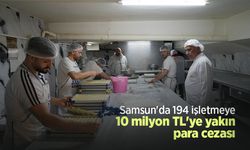 Samsun'da 194 işletmeye 10 milyon TL'ye yakın para cezası