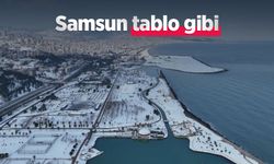 Samsun tablo gibi