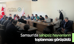 Samsun'da sahipsiz hayvanların toplanması görüşüldü