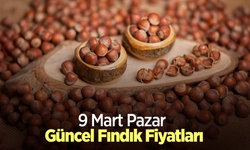 9 Mart 2025 Güncel Fındık Fiyatları