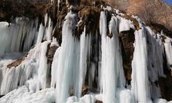 soğuk hava ve zirai don uyarısı