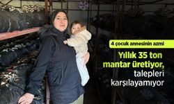 4 çocuk annesinin azmi: Yıllık 35 ton mantar üretiyor, talepleri karşılayamıyor