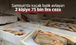 Samsun'da kaçak balık avlayan 2 kişiye 75 bin lira ceza