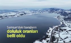 Samsun'daki barajların doluluk oranları belli oldu