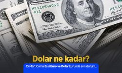 15 Mart 2025 Güncel Dolar ve Euro Kuru: Anlık Döviz Fiyatları