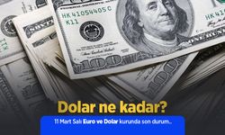 11 Mart 2025 Güncel Dolar ve Euro Kuru: Anlık Döviz Fiyatları