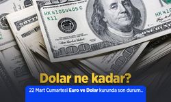 22 Mart 2025 Güncel Dolar ve Euro Kuru: Anlık Döviz Fiyatları