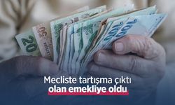 Mecliste tartışma çıktı olan emekliye oldu