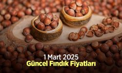 1 Mart 2025 Güncel Fındık Fiyatları