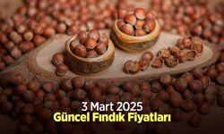 3 Mart 2025 Güncel Fındık Fiyatları