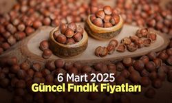 6 Mart 2025 Güncel Fındık Fiyatları