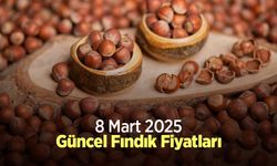 8 Mart 2025 Güncel Fındık Fiyatları