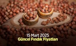 15 Mart 2025 Güncel Fındık Fiyatları