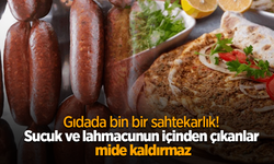 Gıdada bin bir sahtekarlık! Sucuk ve lahmacunun içinden çıkanlar mide kaldırmaz