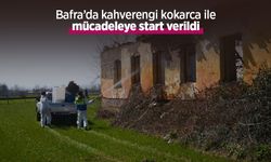 Bafra’da kahverengi kokarca ile mücadeleye start verildi