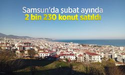 Samsun'da şubat ayında 2 bin 230 konut satıldı