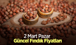 2 Mart 2025 Güncel Fındık Fiyatları