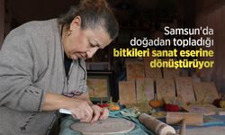 Samsun'da doğadan topladığı bitkileri sanat eserine dönüştürüyor