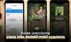 Fındık üreticilerine yapay zeka destekli mobil uygulama