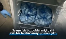 Samsun'da buzdolabının içi dahil evin her tarafından uyuşturucu çıktı