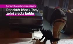 Samsun'da uyuşturucu operasyonu: Dedektör köpek Tony zehri araçta buldu