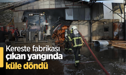 kereste fabrikası çıkan yangında küle döndü