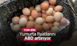 YUM-BİR: "Yumurta fiyatlarını ABD artırıyor"