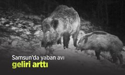 Samsun’da yaban avı geliri arttı