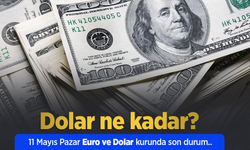 11 Mayıs 2025 Güncel Dolar ve Euro Kuru: Anlık Döviz Fiyatları