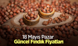 18 Mayıs 2025 Güncel Fındık Fiyatları