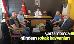 Çarşamba'da gündem sokak hayvanları