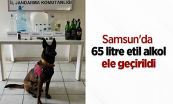 Samsun'da 65 litre etil alkol ele geçirildi
