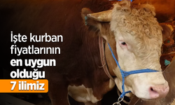 İşte kurban fiyatlarının en uygun olduğu 7 ilimiz