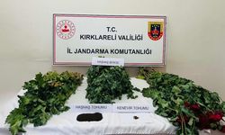 uyuşturucu operasyonu: 8 gözaltı