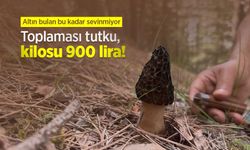 Toplaması tutku, kilosu 900 lira! Altın bulan bu kadar sevinmiyor