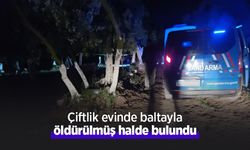 Çiftlik evinde baltayla öldürülmüş halde bulundu
