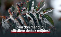 Zirai don mağduru çiftçilere destek müjdesi