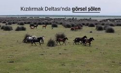 Kızılırmak Deltası'nda görsel şölen