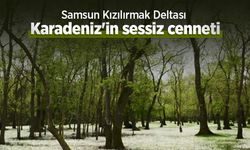 Samsun Kızılırmak Deltası: Karadeniz'in sessiz cenneti