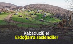 Kabadüzlüler Erdoğan'a seslendiler